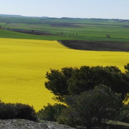 شقة La Aldea Colorada Mota del Marqués المظهر الخارجي الصورة