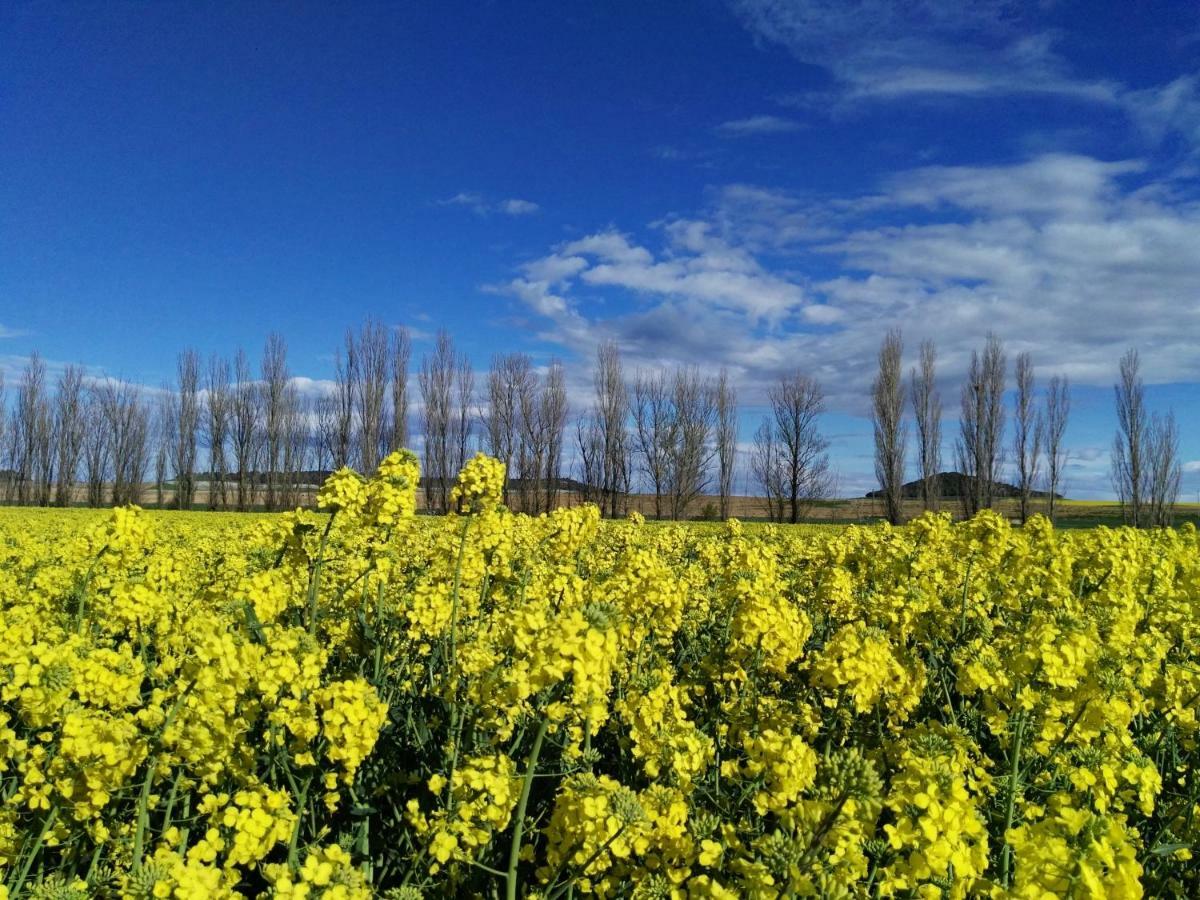 شقة La Aldea Colorada Mota del Marqués المظهر الخارجي الصورة